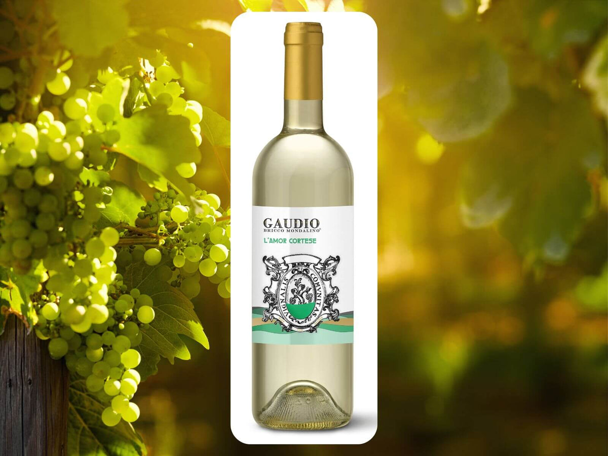 Weißwein “L’Amor Cortese” 2024 - Gaudio Bricco Mondalino