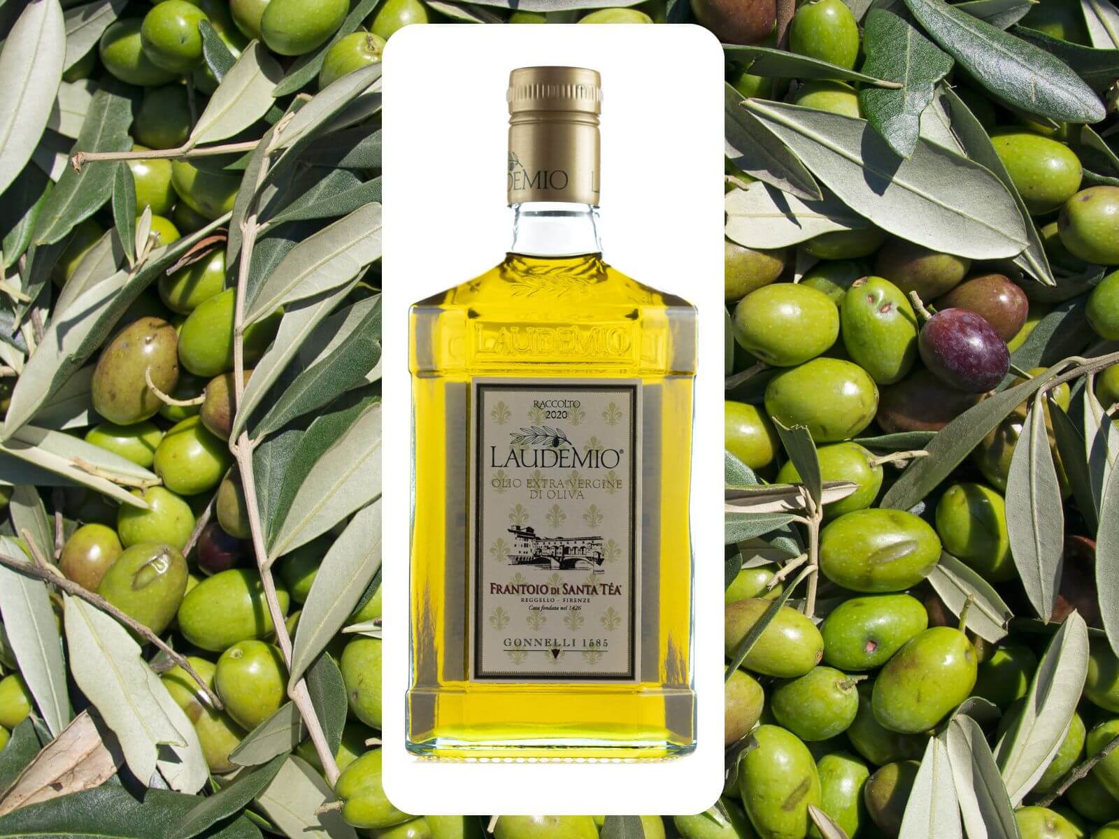 Laudemio - Natives Olivenöl Extra, Gonnelli 1585, 0,5 l