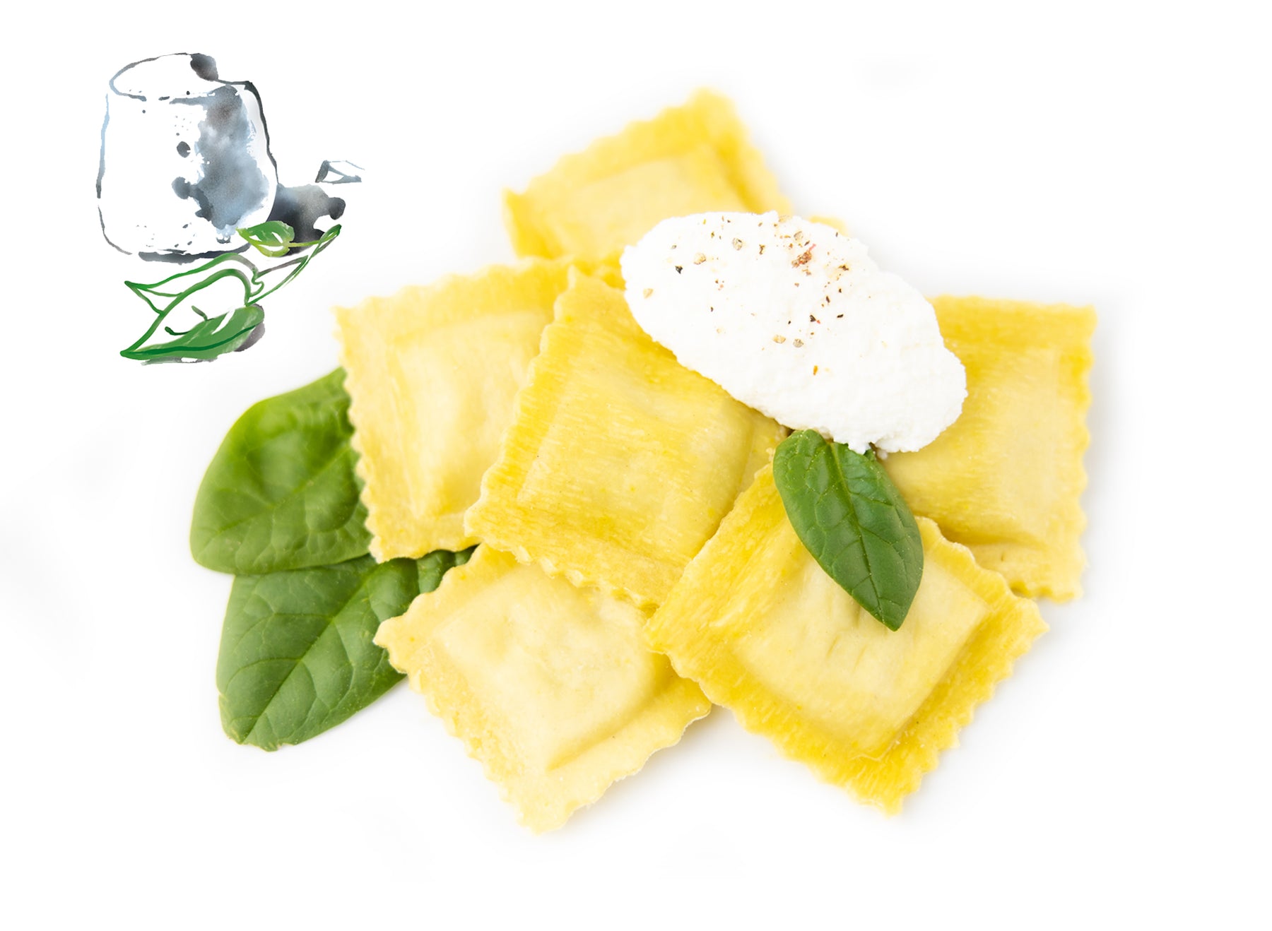 Agnolotti mit Ricotta & Spinat-Füllung
