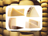 Sparset “Formaggio da Gustare” - 4 Sorten Tafelkäse