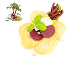 Medaglioni mit Rote Bete, Pinienkernen & Ziegenkäse